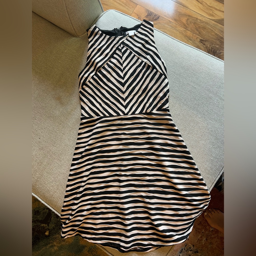 Black and Tan Striped Women's Dress